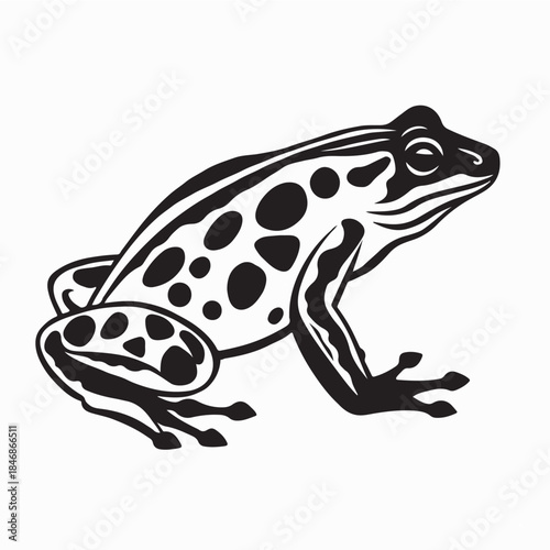 Tropical frogs Vector. Black and  White Tropical frog Vector Image on white background