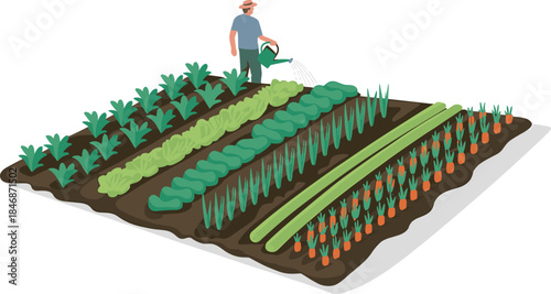 Farmer Watering Rows of Diverse Vegetable Crops in Organic Agricultural Field