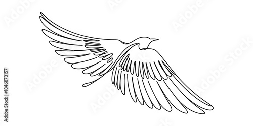 A beautiful continuous line drawing capturing a bird in graceful flight with spread wings Vector, illustration