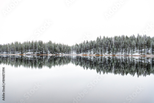 Wooded landscape after light snow leaving green and orange patches mirroring in lake against white foggy sky