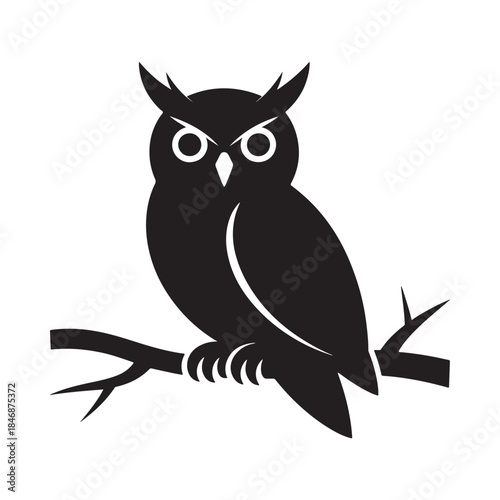 a striking black and white illustration depicts a perched owl with intense focus showcasing its detailed features and natural habitat