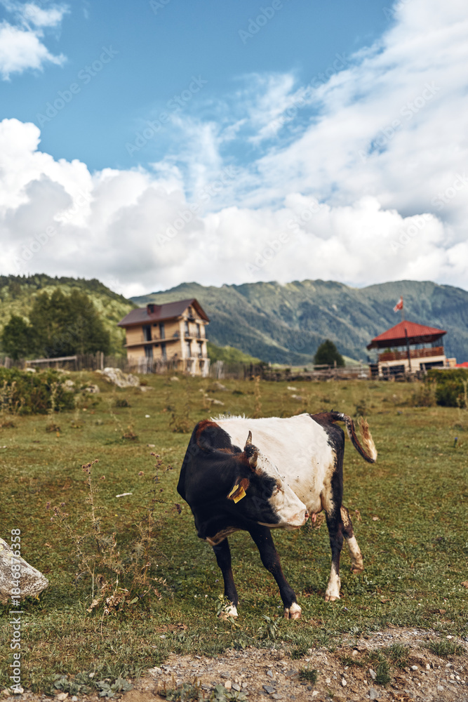 Naklejka premium cow grazing on pasture with farmhouse and mountain landscape, authenticity inclusivity