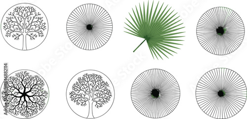 Eight circular botanical and geometric diagrams showcasing radial symmetry, branching patterns, fractal structures, and nature-inspired vector illustration design.