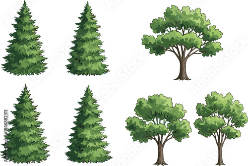 Eight stylized trees showing coniferous and deciduous types, ideal for landscape design, botanical mapping, and vector foliage illustration use.