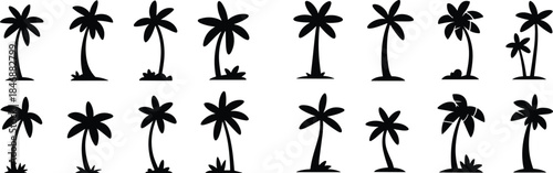 Palm tree silhouettes set black tropical coconut trees minimalist nature icons summer beach landscape design isolated