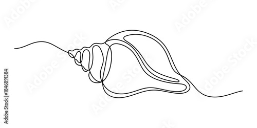 A beautiful minimalist one-line art illustration of a spiral seashell in black and white. Vector, illustration