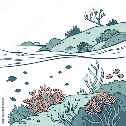 Coral reef visible through shallow water with fish and seaweed