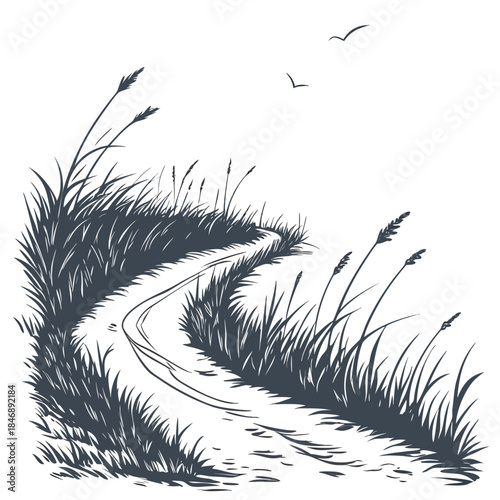 Winding dirt path through tall grass and reeds with birds flying overhead