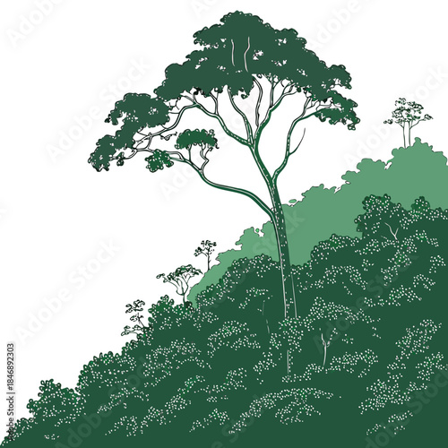 Green hill with trees and thick foliage greenery nature