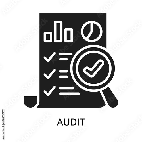 Audit icon glyph vector illustration