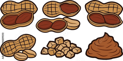 Collection of stylized peanut illustrations showing whole shelled chopped and ground forms perfect for food design elements