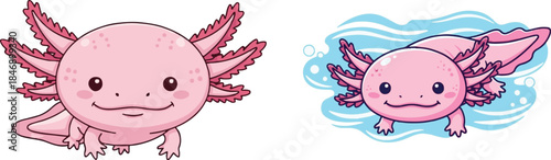 Adorable pink axolotl cartoon character illustration set featuring one static pose and one swimming in blue water bubbles