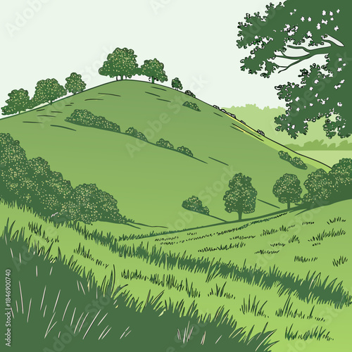 Green hillside with trees and grass landscape