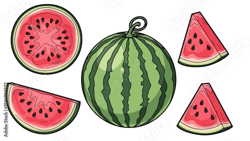 Fresh Watermelon Illustration: Juicy Slices and Whole Fruit on White Background