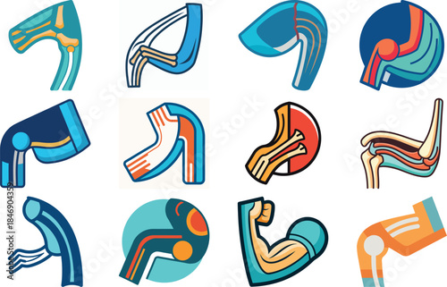 Human Anatomy Icon Set Featuring Heart, Liver, Kidney, Lungs, Intestine, Digestive System, Muscular System, Nervous System and Internal Organs – Flat Medical Vector Illustration for Healthcare, Educat