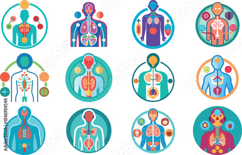 Human Anatomy Icon Set Featuring Heart, Liver, Kidney, Lungs, Intestine, Digestive System, Muscular System, Nervous System and Internal Organs – Flat Medical Vector Illustration for Healthcare, Educat