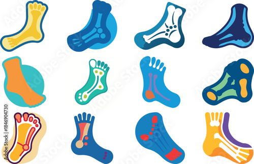 Human Anatomy Icon Set Featuring Heart, Liver, Kidney, Lungs, Intestine, Digestive System, Muscular System, Nervous System and Internal Organs – Flat Medical Vector Illustration for Healthcare, Educat