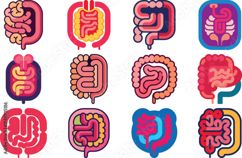 Human Anatomy Icon Set Featuring Heart, Liver, Kidney, Lungs, Intestine, Digestive System, Muscular System, Nervous System and Internal Organs – Flat Medical Vector Illustration for Healthcare, Educat