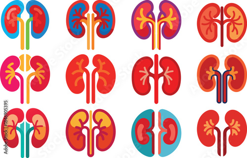 Human Anatomy Icon Set Featuring Heart, Liver, Kidney, Lungs, Intestine, Digestive System, Muscular System, Nervous System and Internal Organs – Flat Medical Vector Illustration for Healthcare, Educat