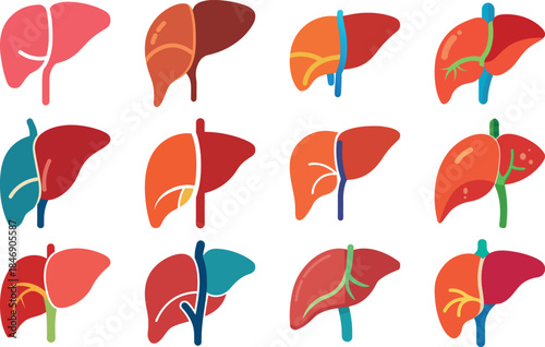Human Anatomy Icon Set Featuring Heart, Liver, Kidney, Lungs, Intestine, Digestive System, Muscular System, Nervous System and Internal Organs – Flat Medical Vector Illustration for Healthcare, Educat