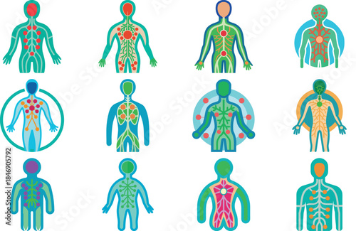 Human Anatomy Icon Set Featuring Heart, Liver, Kidney, Lungs, Intestine, Digestive System, Muscular System, Nervous System and Internal Organs – Flat Medical Vector Illustration for Healthcare, Educat