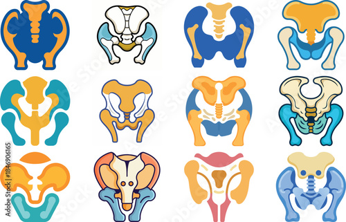 Human Anatomy Icon Set Featuring Heart, Liver, Kidney, Lungs, Intestine, Digestive System, Muscular System, Nervous System and Internal Organs – Flat Medical Vector Illustration for Healthcare, Educat