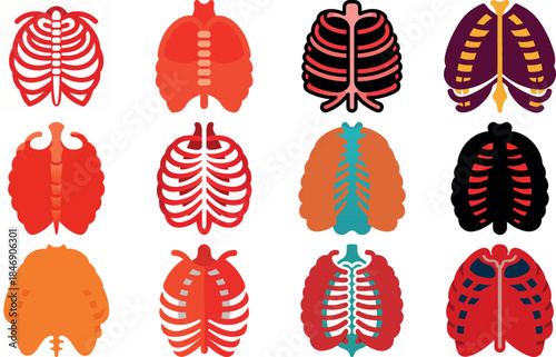 Human Anatomy Icon Set Featuring Heart, Liver, Kidney, Lungs, Intestine, Digestive System, Muscular System, Nervous System and Internal Organs – Flat Medical Vector Illustration for Healthcare, Educat