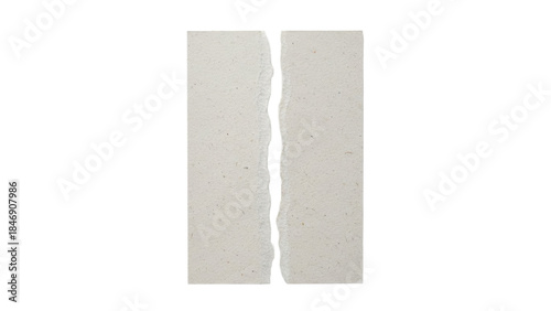 Rectangular recycled paper piece, vertical tear down the middle Plain white background