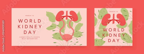 World Kidney Day Posters with Kidney and Bladder anatomy, green Leaves. Healthcare Awareness design for Clinic and Print. Flat Vector Illustration set.