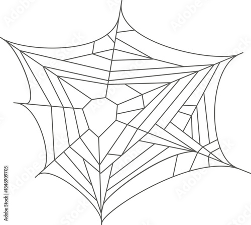 Stylized spider web design outlining a spooky Halloween decoration