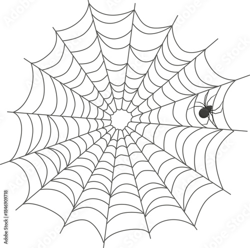 Spider crawling on a creepy halloween web