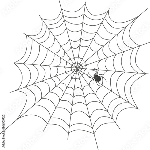 Black spider spinning intricate cobweb illustration