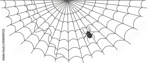 Spider crawling on a creepy Halloween spiderweb graphic