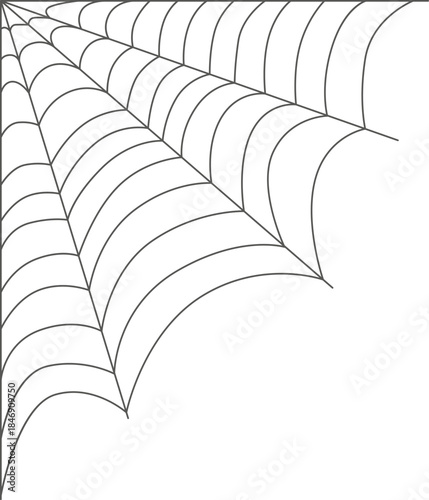 Spider web corner creating a spooky design
