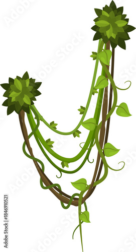 Jungle vines hanging with green leaves on white