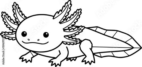 Cute Axolotl Vector Illustration Black and White Outline Aquatic Animal for Children Coloring Book
