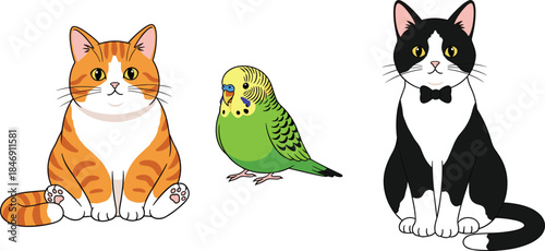 Cute cartoon pets collection with cats and budgerigar bird, adorable animal characters, pet friendship concept, flat illustration design