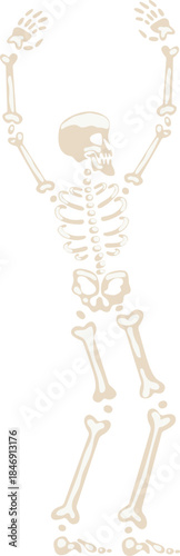 Human skeleton raising arms celebrating victory Halloween