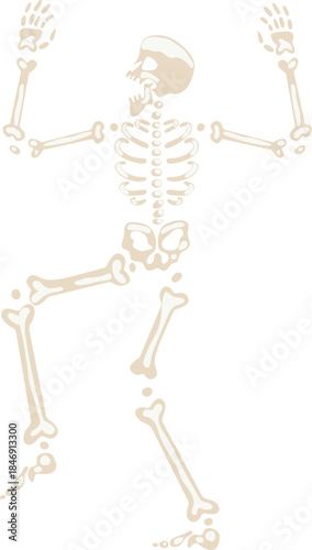 Dancing skeleton character raising arms for Halloween fun