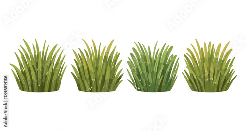 Collection of four stylized green grass clumps with dew drops on a white background