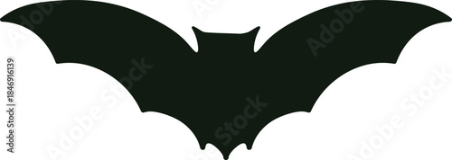 Black bat silhouette flying isolated on white