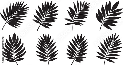 Eight black palm leaf silhouettes collection