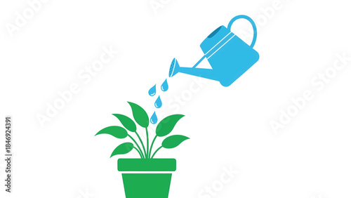 Small young green houseplant with fresh foliage grows in a decorative blue pot isolated on white background to represent new life and spring gardening