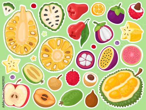 Stickers with cute illustrations of tropical exotic fruits. Jackfruit, durian, mangosteen, rose apple, passion fruit, guava, carambola, lychee.