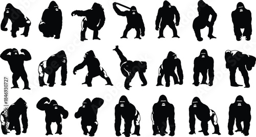 gorilla, silhouette, pose, animal, standing, walking, flexing, crouching, swinging, object, black, white, icon, illustration, vector, design, symbol, wildlife, nature, strength