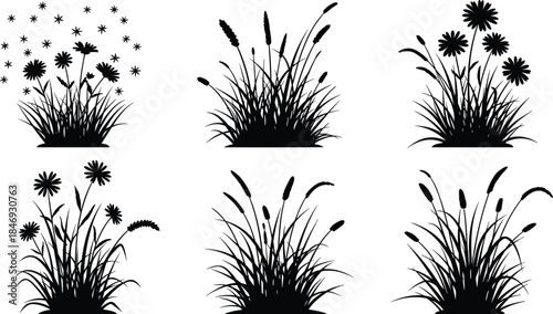 Grass and wildflower silhouettes, black botanical icons, cattail, daisy, dandelion, nature vector set, minimal plant design, outdoor flora