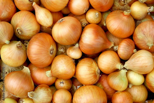 Fotografía Texture of golden onions in one pile.