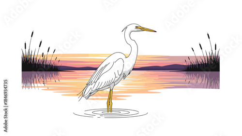 Elegant great egret stands gracefully in shallow water at sunset, creating a serene and picturesque natural scene.