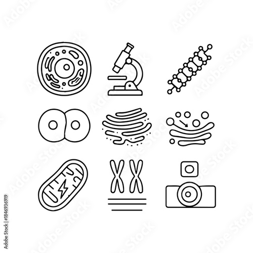 Cellular biology icons depicting structures organelles and microscopic tools