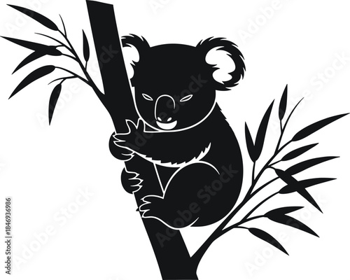 Black koala clinging to tree branch with leaves koala, black, tree, branch, leaves, animal, wildlife, nature, clinging, hanging, silhouette, white background, eucalyptus, australia, cute, furry, mamma